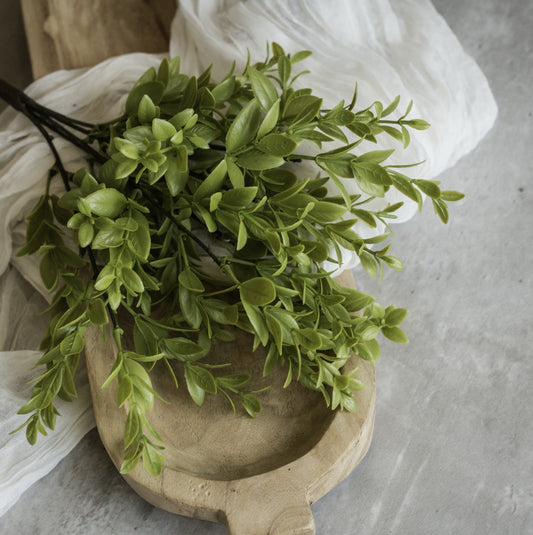 14" Ruscus Bush
