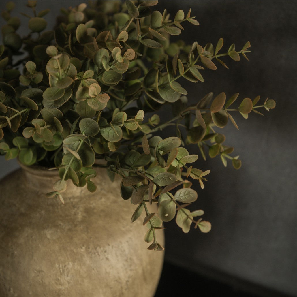 Rust Eucalyptus Leaf Spray