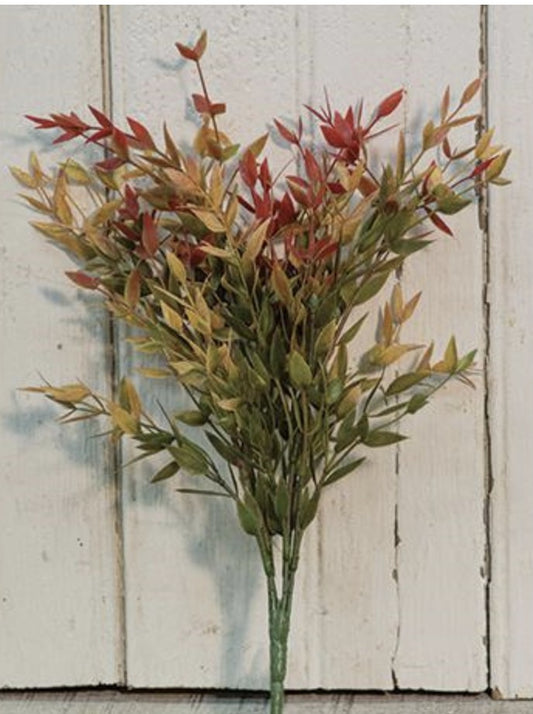 Velvet Ash Bush