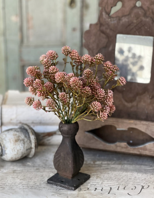 Wil-O-Wisp Bush - Pink