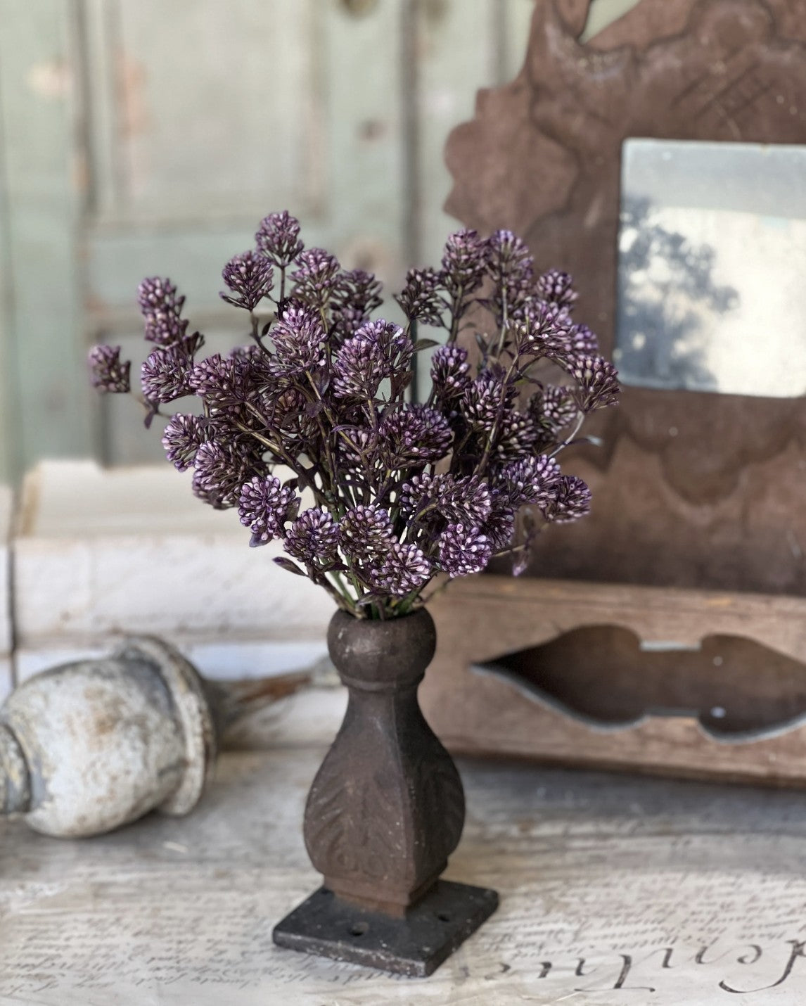 Wil-O-Wisp Bush - Purple