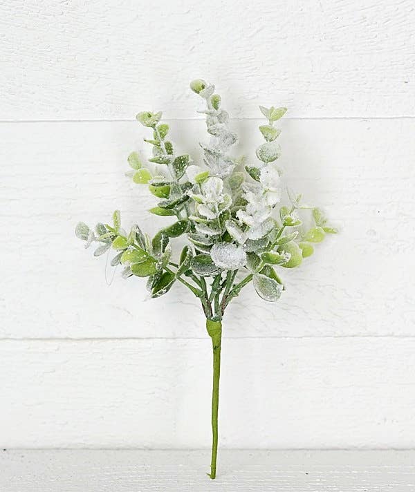 Snow Flocked Eucalyptus 9in