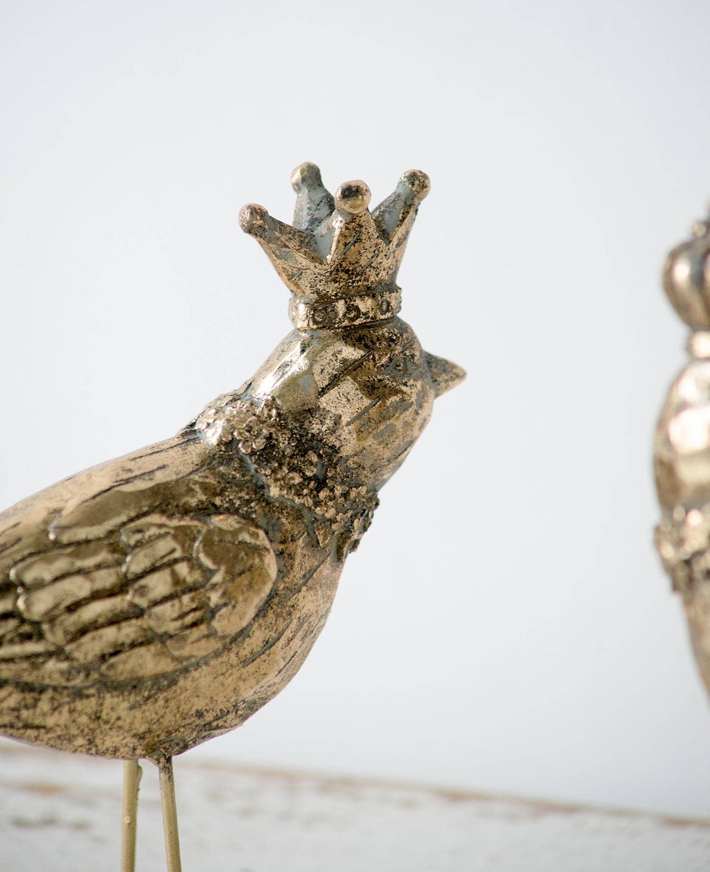 Bird with Crown