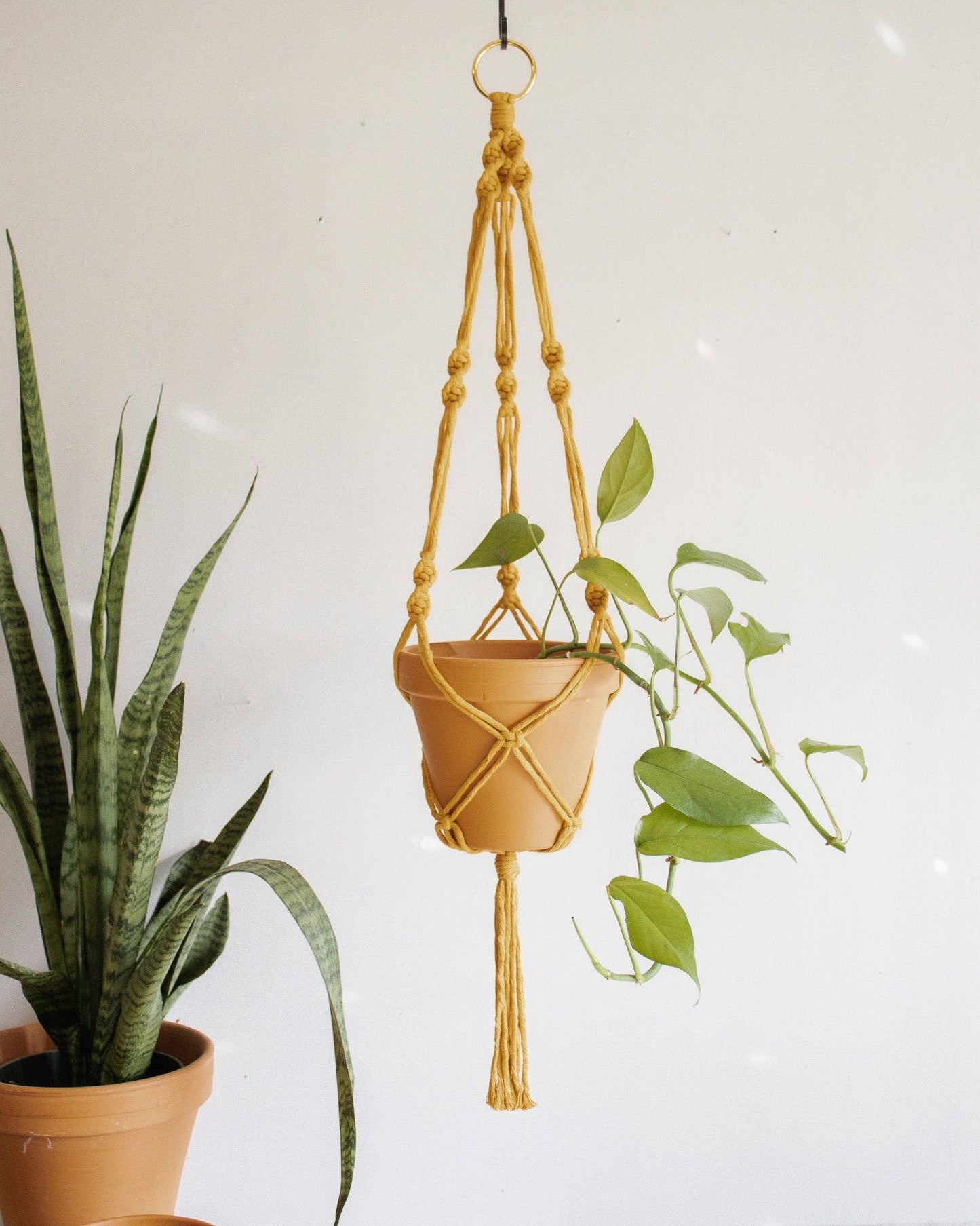 Simple Twist Macrame Plant Hanger