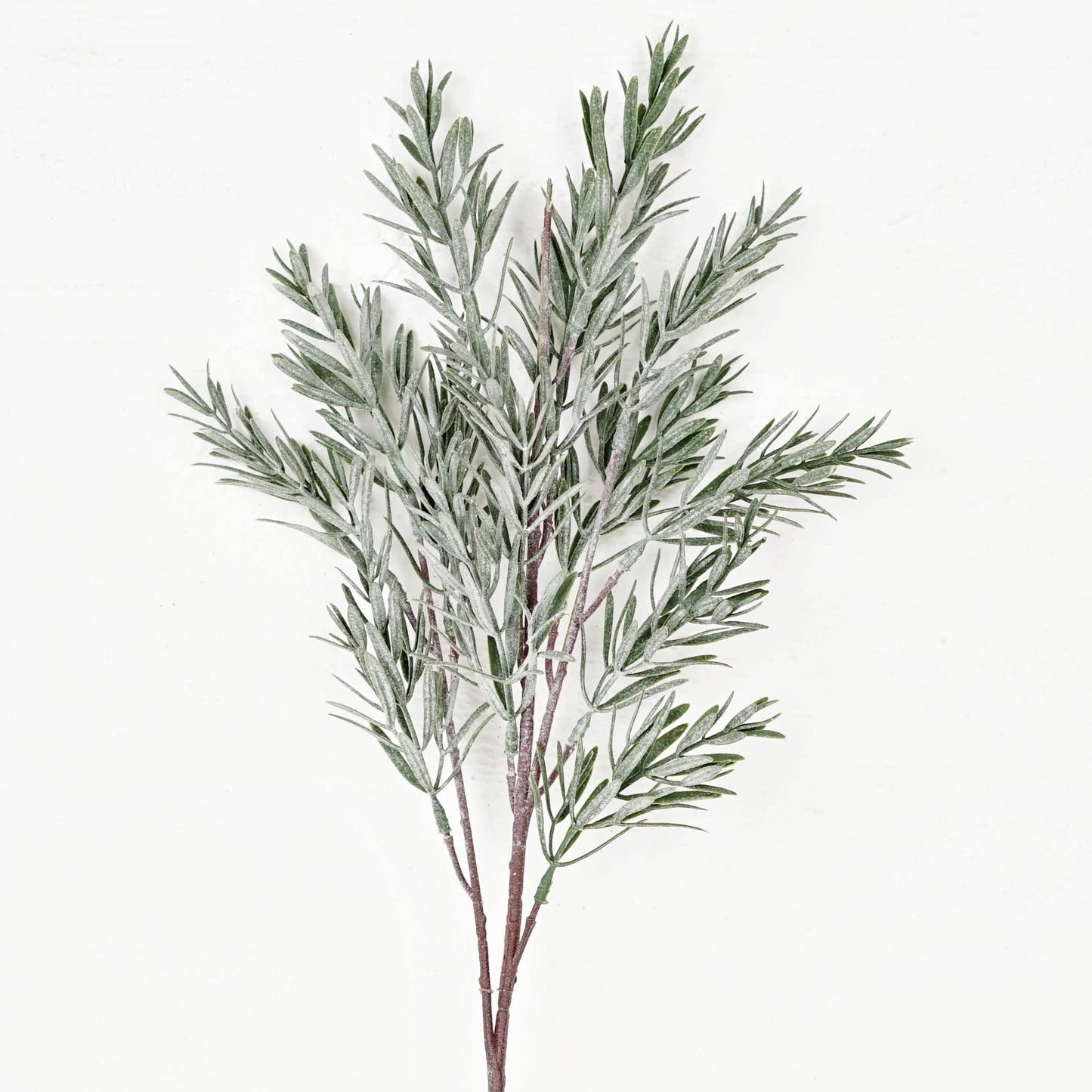 Frosted Rosemary pine spray - 24in