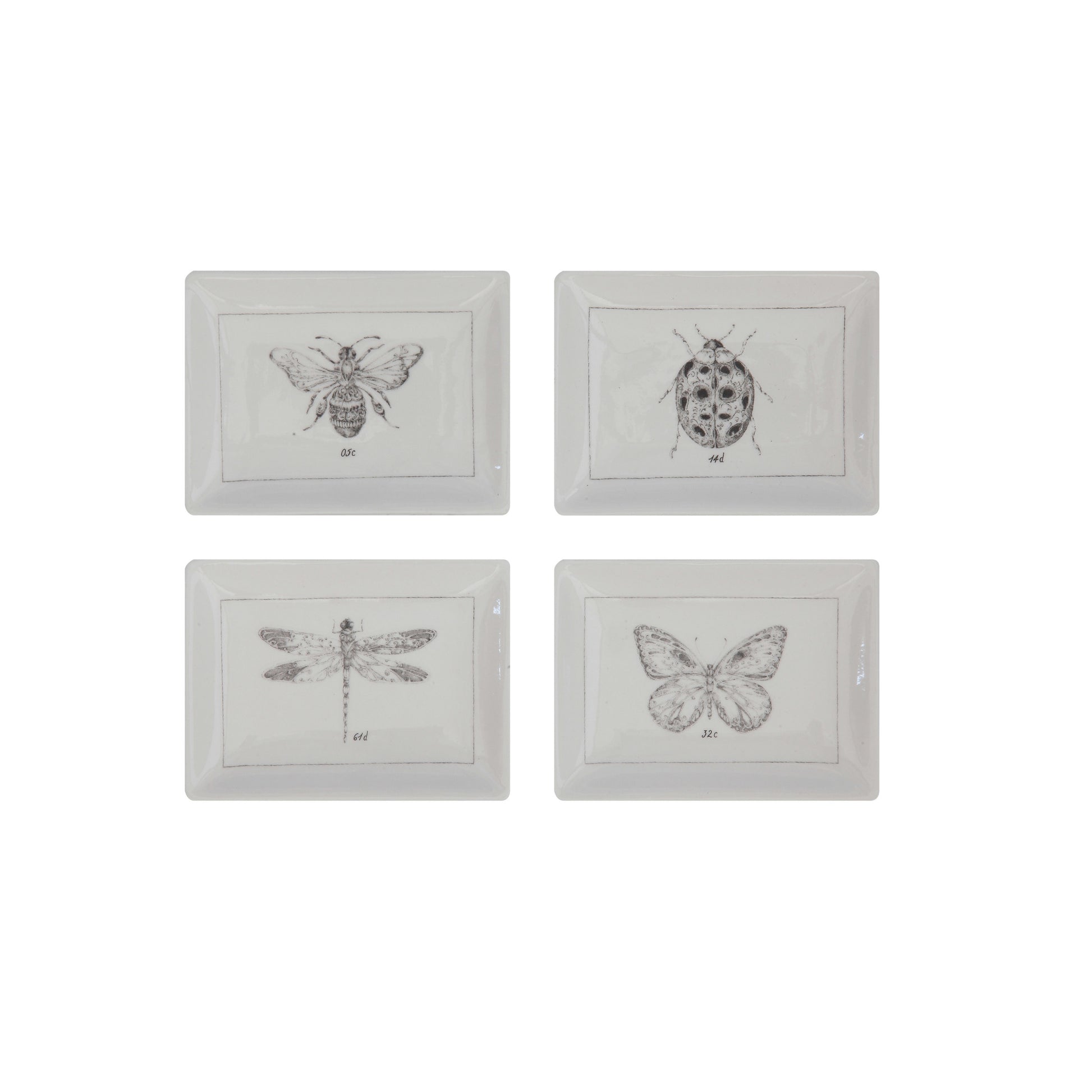 Ceramic Dish with Insect, 4 Styles
