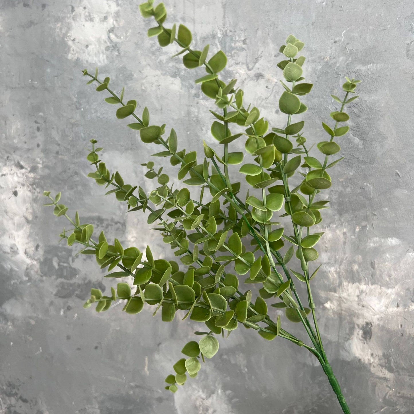 Eucalyptus Greenery Bunch