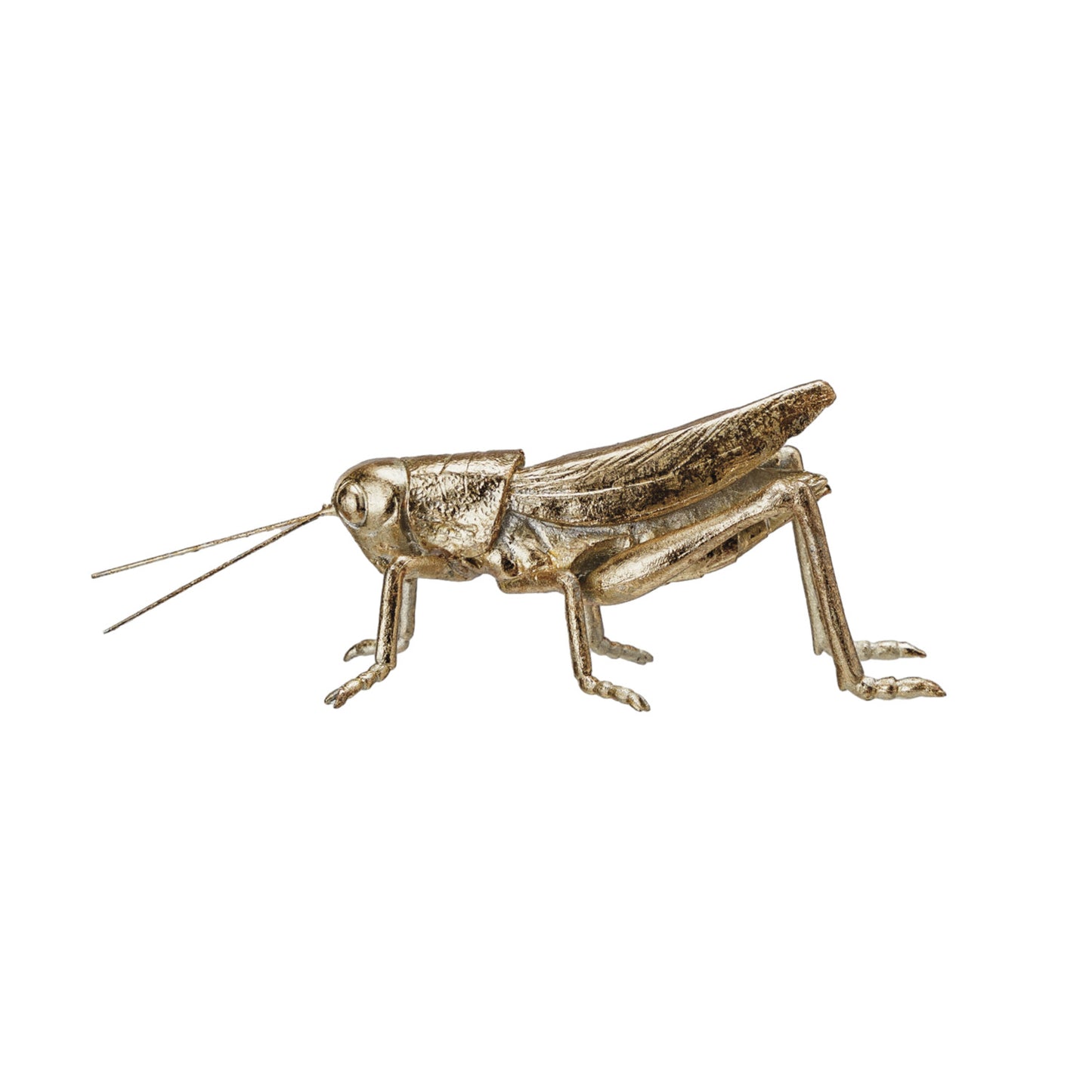 Resin & Metal Grasshopper, Gold Finish