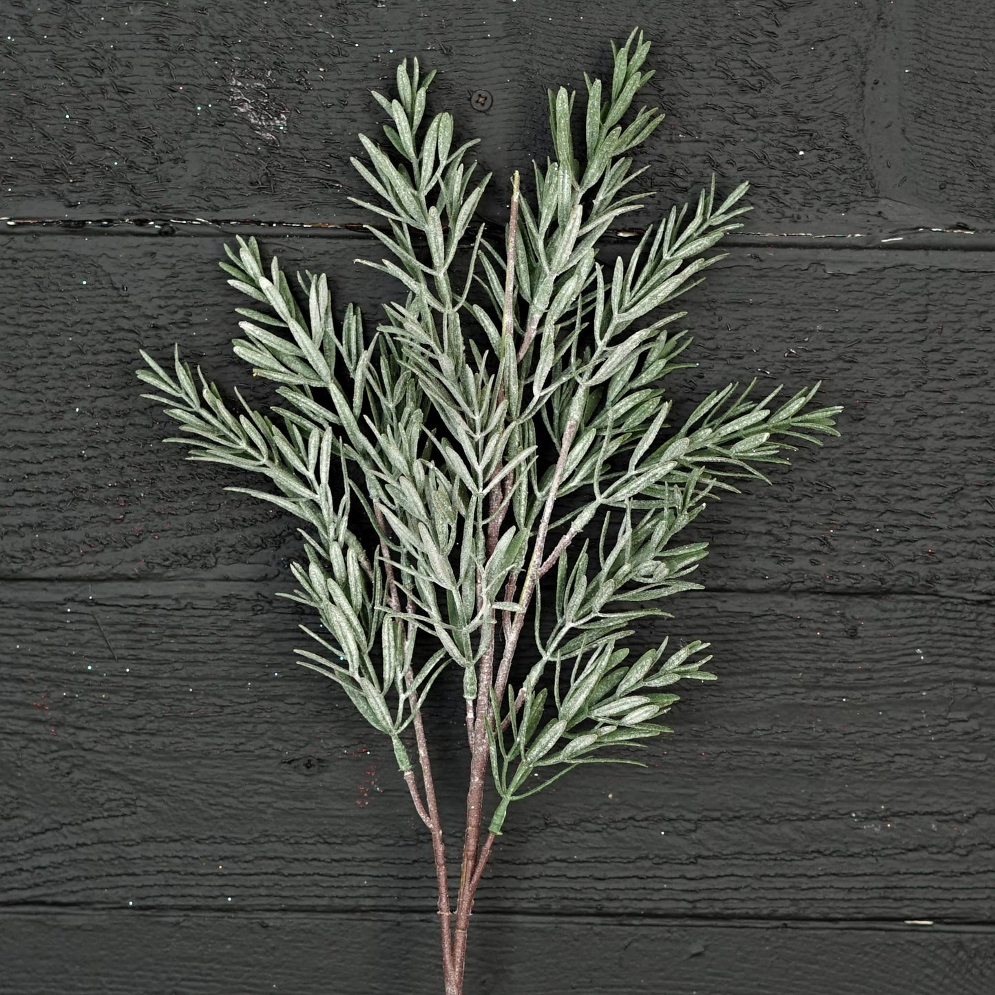 Frosted Rosemary pine spray - 24in