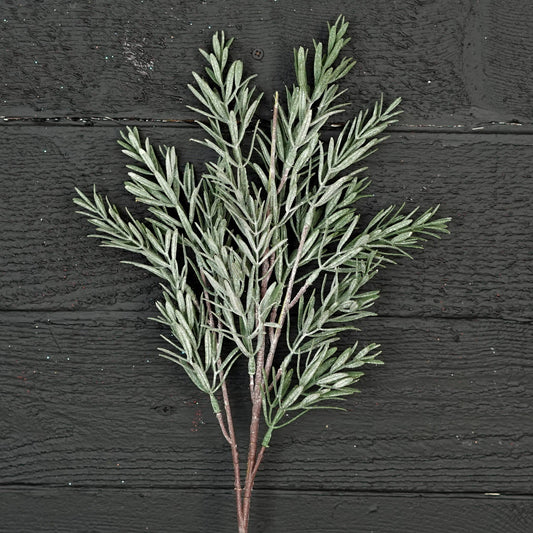 Frosted Rosemary pine spray - 24in