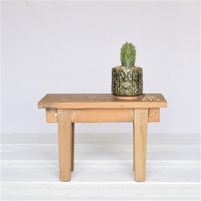 Cactus Motif Cachepot