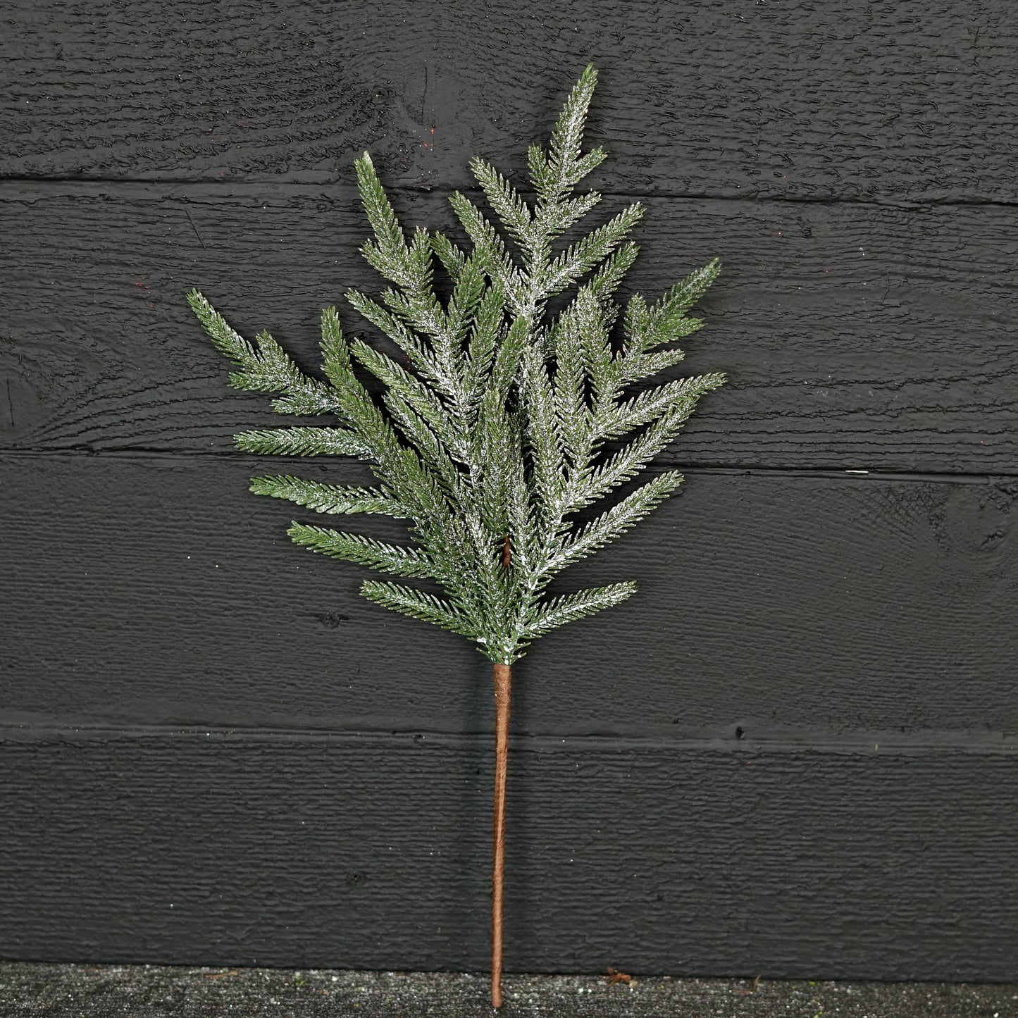 Real Touch Norfolk Pine