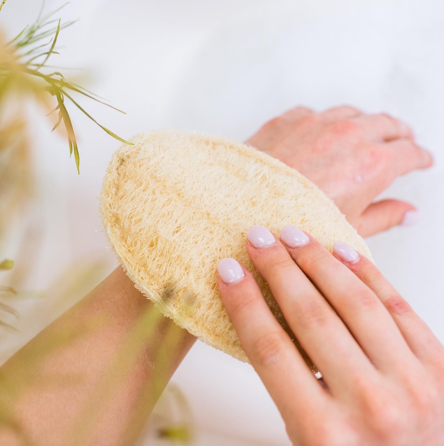 Large Exfoliating Loofah | Oval | Faire Market Bestseller