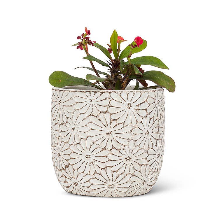 Daisy Round Planter-4"H