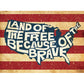 Land of the Free Because of the Brave Print